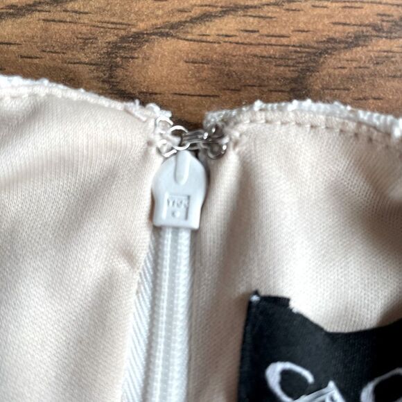 Cache Champagne Lace Gown with Pearl Neck and Godet Mesh Insert Size 4 EUC - Picture 13 of 13